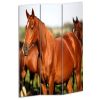 72" Brown And White Canvas Folding Three Panel Screen Room Divider