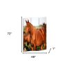 72" Brown And White Canvas Folding Three Panel Screen Room Divider