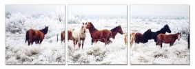 Set of Three White Canvas Square Framed Art