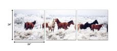 Set of Three White Canvas Square Framed Art