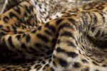 70" X 50" Black Brown And Ivory Faux Fur Leopard Plush Throw Blanket
