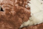 4' X 5' Brown And Ivory Faux Cowhide Animal Print Area Rug