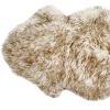 Gradient Chocolate Animal Print Area Rug