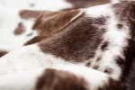 6' X 7' White Cowhide Cowhide Print Area Rug
