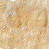 4' X 6' Gold Genuine Sheepskin Animal Print Shag Area Rug