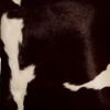 Set of Two 18" Chocolate And White Cowhide Cowhide Throw Pillows