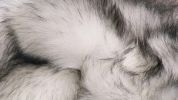 5' X 8' Gray Faux Fur Ombre Flokati Washable Area Rug