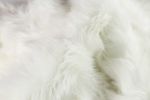 5' X 6' Off White Animal Print Shag Area Rug