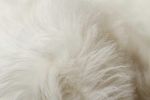6' X 6' Off White Faux Fur Shag Washable Round Rug