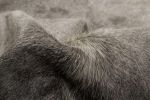 5' X 7' Gray Cowhide Area Rug