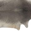 5' X 7' Gray Cowhide Area Rug