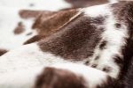 5' X 7' Brown And White Cowhide Cowhide Print Area Rug