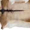 2' X 3' Tan And White Cowhide Cowhide Print Hand Woven Area Rug