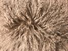 17" X 27" Beige Microsuede Down Lumbar Throw Pillow