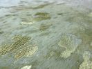 5' X 6' Gold Cowhide Handmade Area Rug