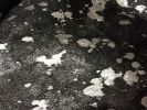 6' X 7' Black And Silver Cowhide Handmade Area Rug