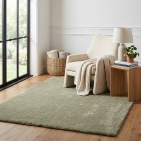 5' X 7' Sage Shag Hand Woven Area Rug