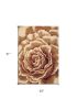 2' X 3' Ivory Brown And Red Floral Area Rug