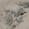 3' X 5' Silver And Black Abstract Area Rug