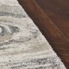 3' X 5' Gray And Tan Abstract Area Rug