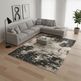 6' X 9' Black and Silver Area Rug