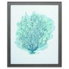 27" X 33" Distressed Wood Toned Frame Aqua Coral On White Ii