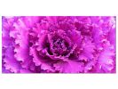 32" X 95" Pink Acrylic Hanging Wall Decor