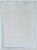 3' X 5' Gray and Ivory Area Rug
