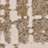 8' X 11' Ivory Taupe And Gold Abstract Area Rug
