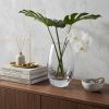 8" Clear Oval Crystal Glass Table Vase