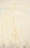 2' X 3' Ivory Shag Area Rug