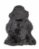 2' X 3' Black Shag Area Rug