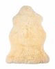 2' X 3' Beige Shag Area Rug