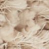 14" X 20" Beige Fabric Lumbar Throw Pillow
