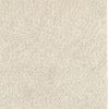 3' X 5' Ivory Shag Hand Tufted Area Rug