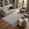 10' X 13' Modern Shaggy Soft Gray Indoor Area Rug
