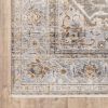 3' X 5' Gray And Blue Medallion Distressed Area Rug
