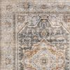 3' X 5' Gray And Blue Medallion Distressed Area Rug