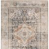 3' X 5' Gray And Blue Medallion Distressed Area Rug