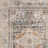 7' X 10' Gray And Blue Medallion Distressed Area Rug