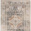 7' X 10' Gray And Blue Medallion Distressed Area Rug