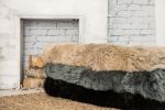 2' X 3' Taupe Sheepskin Area Rug