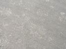 13' Gray And Ivory Floral Runner Rug