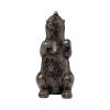 Set of Two Gray Resin Bear Decorative Bookends