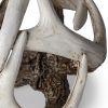 5" Off White And Brown Resin Faux Antler Decorative Orb