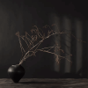 Falen Woodiness Vase Black