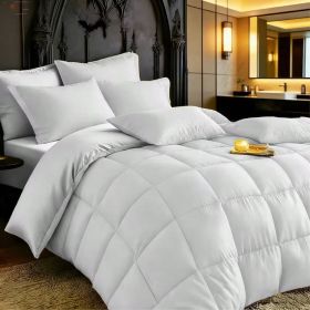 White 2-Piece & 3-Piece Bedding Comforter Set – Twin/Queen/King – Soft Microfiber (Inclusion: Comforter *1+Pillowcase*2, size: Queen)
