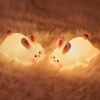 Pumpkin Night Light, Squishy LED Nursery Lamp with Timer, Rechargeable Silicone Nightlight for Kids